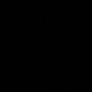 Meet your Posher, Samuel